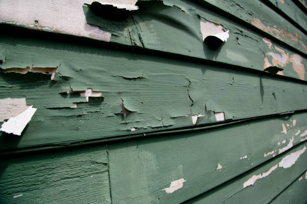 Professional Junk Removal in Merrillville, IN