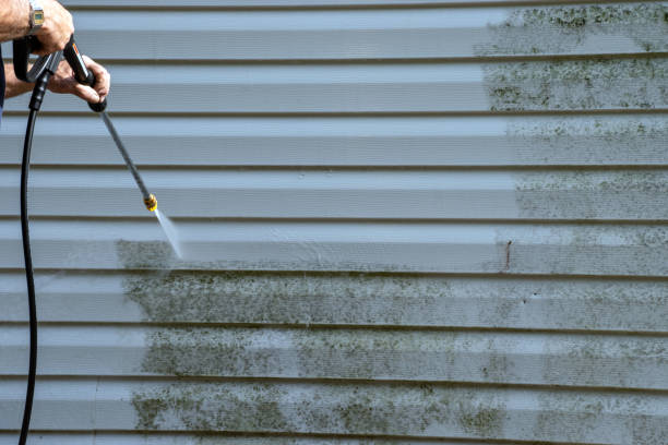 Best Shed Removal  in Merrillville, IN